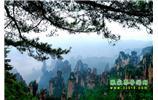 【純玩獨立成團線路1】張家界、袁家界、天子山、寶峰湖/黃龍洞二晚三日