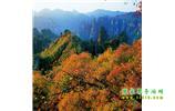 長沙往返張家界、天子山、寶峰湖/黃龍洞三日游