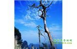 湘西之旅：張家界、天子山、寶峰湖/黃龍洞、鳳凰古城、猛洞河漂流、天門(mén)山六日游