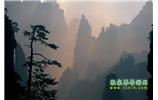張家界國家森林公園、寶峰湖/黃龍洞、鳳凰古城、三峽八日游