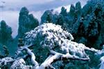 【純玩散拼線路17】張家界、天子山、芙蓉鎮(zhèn)、猛洞河漂流、鳳凰古城三晚四日游