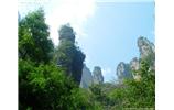 【純玩拼團線路 張家界出發(fā)A2線】張家界、袁家界、天子山、金鞭溪、鳳凰古城2晚3日游